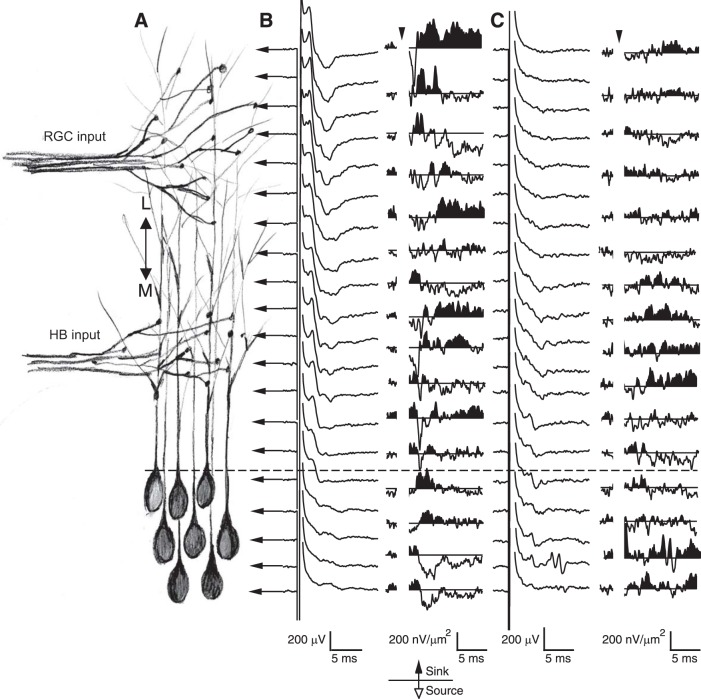 Fig. 4.