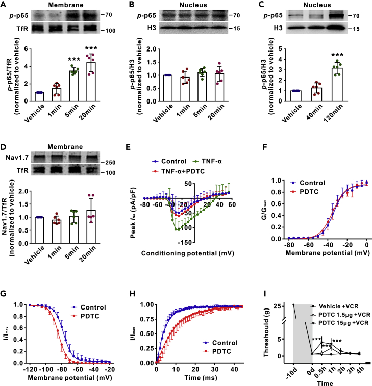 Figure 6