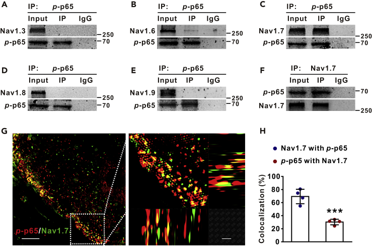 Figure 3