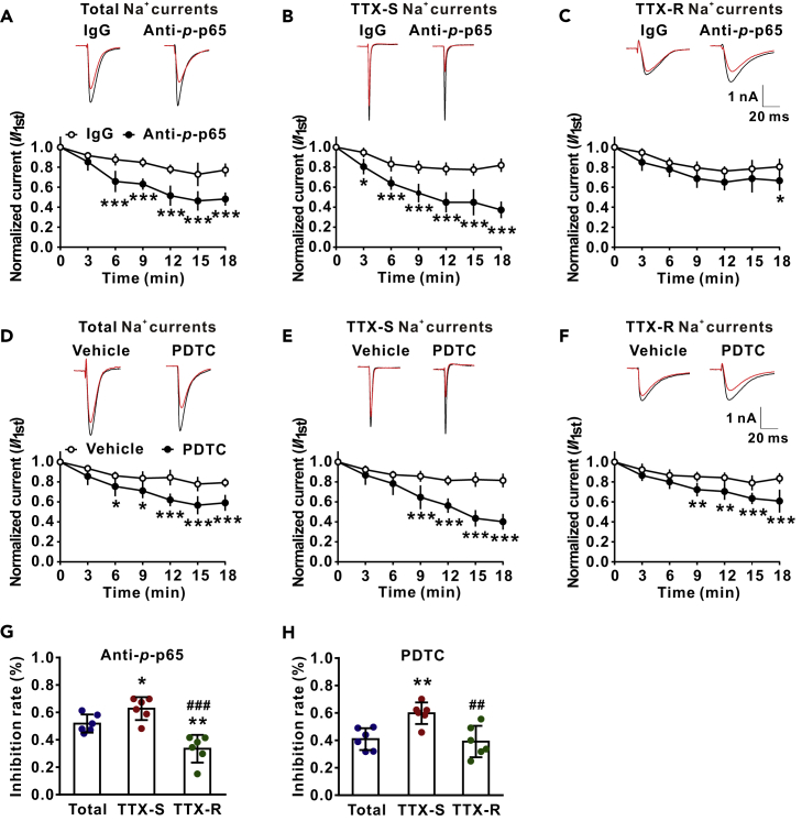 Figure 2