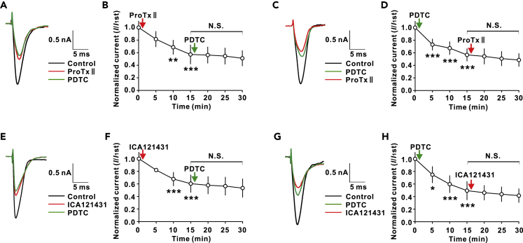 Figure 5