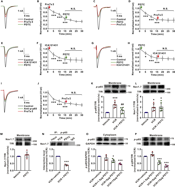 Figure 4