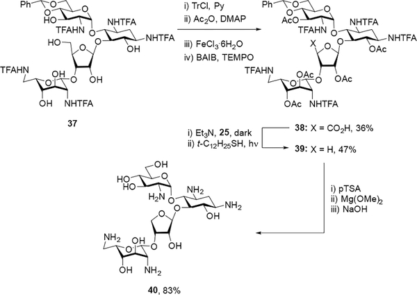 Scheme 3.