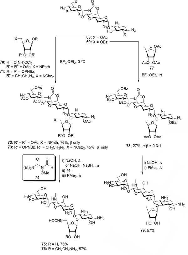 Scheme 7.