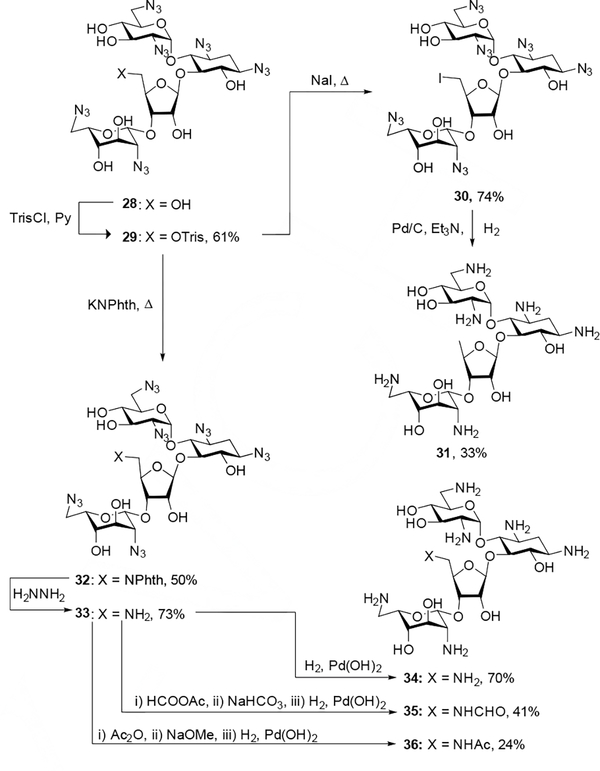 Scheme 2.