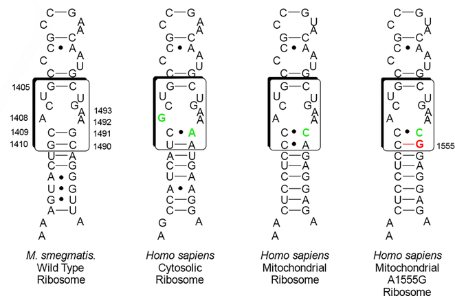 Figure 5.