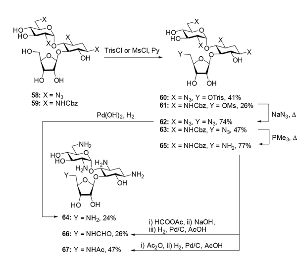 Scheme 6.