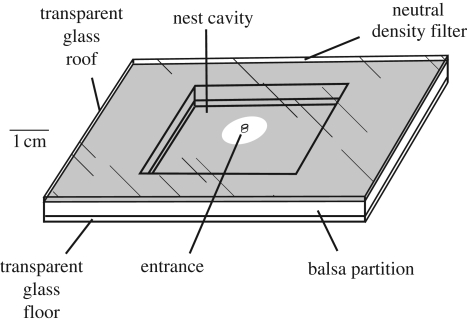 Figure 1.