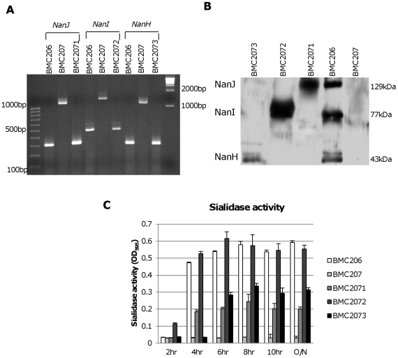 Figure 5