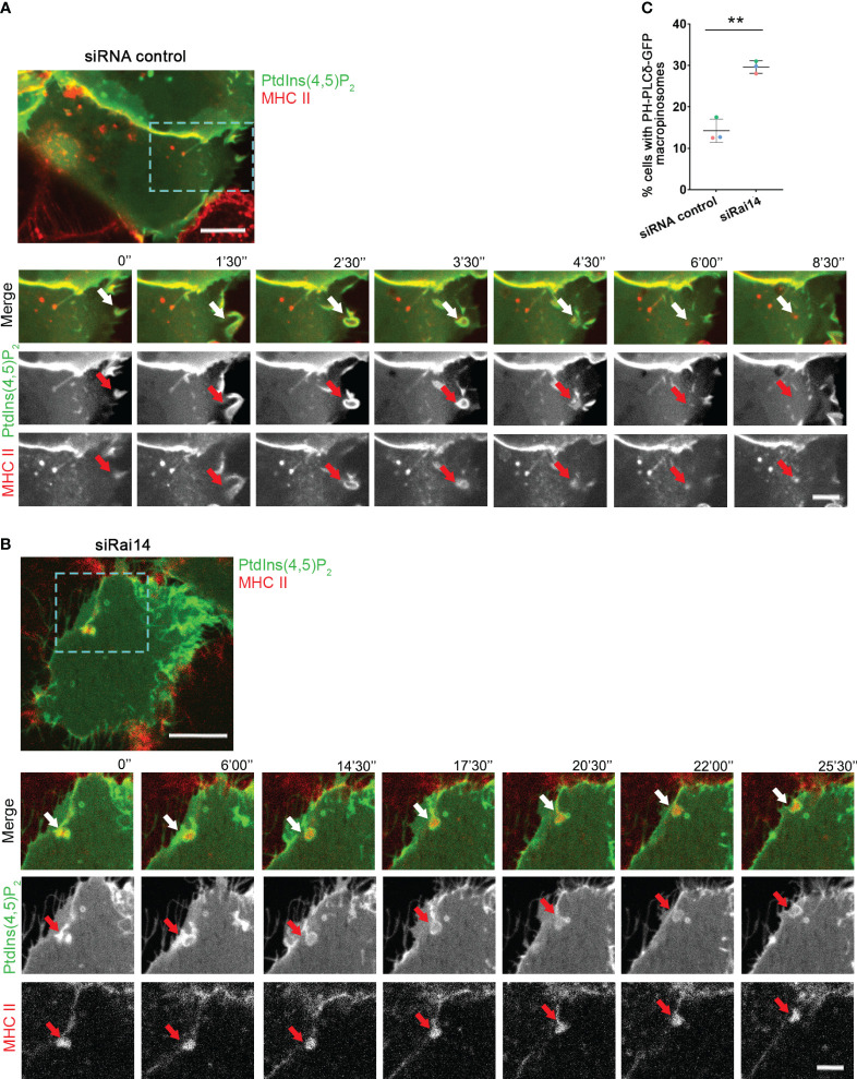 Figure 4