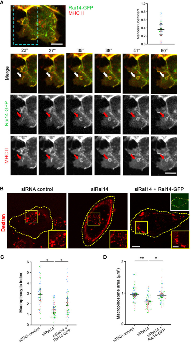 Figure 3