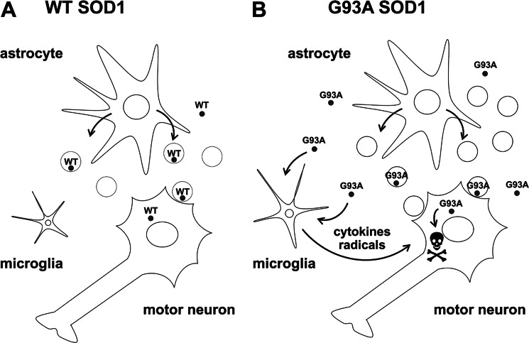 FIGURE 7.