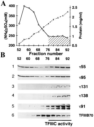 FIG. 6