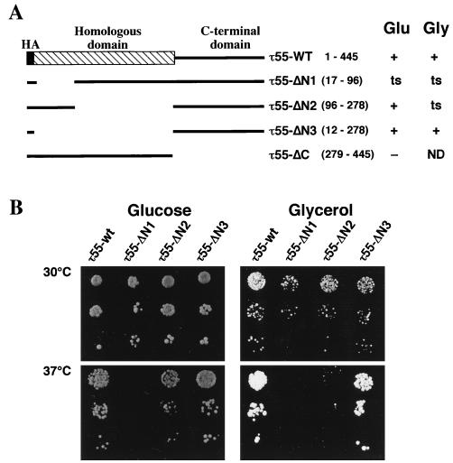 FIG. 3