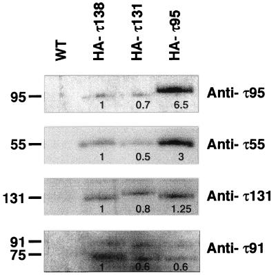 FIG. 8