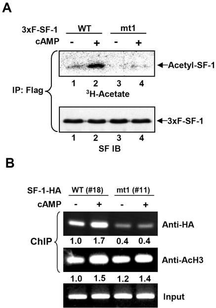 FIG. 8.