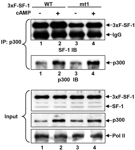 FIG. 9.