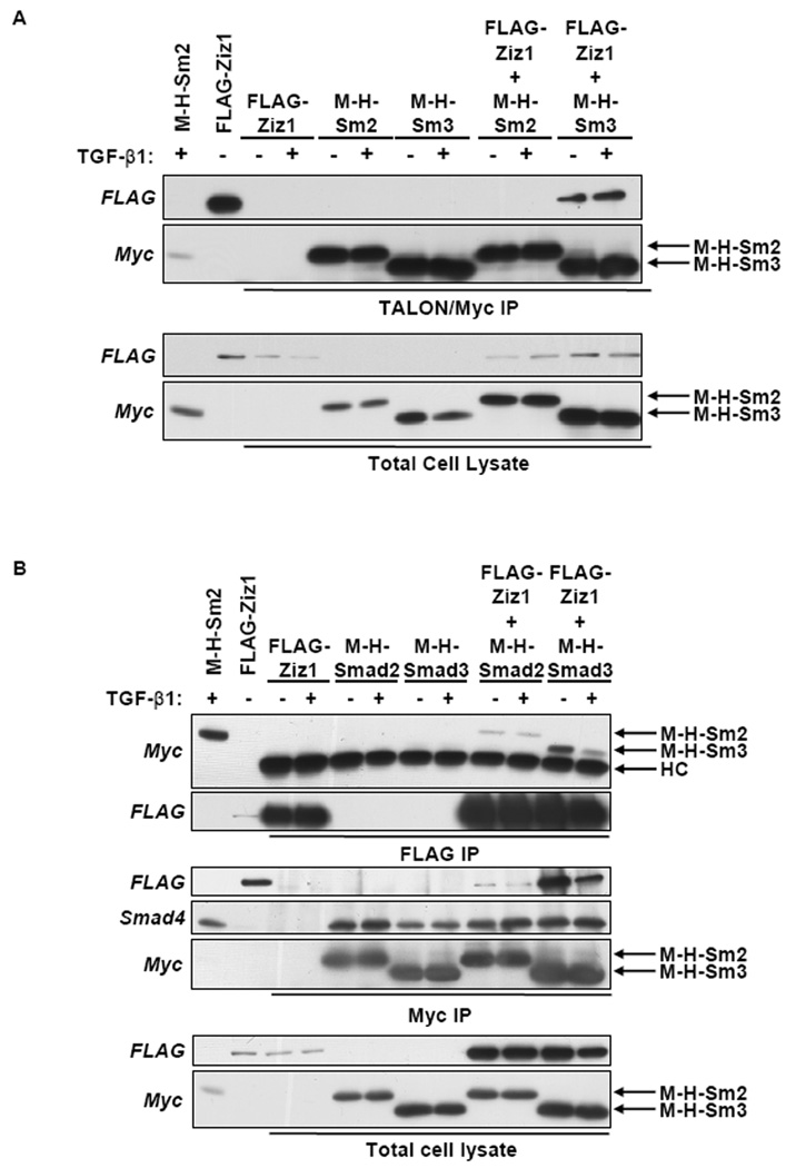 Fig. 9