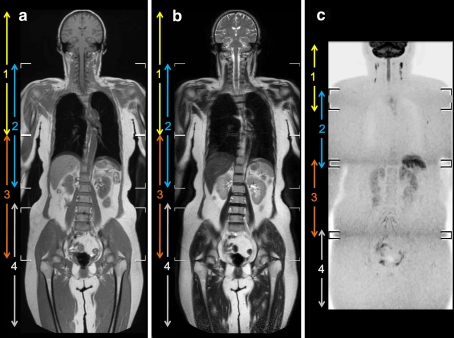 Fig. 3