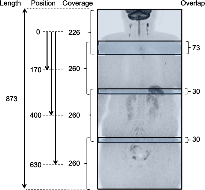 Fig. 2