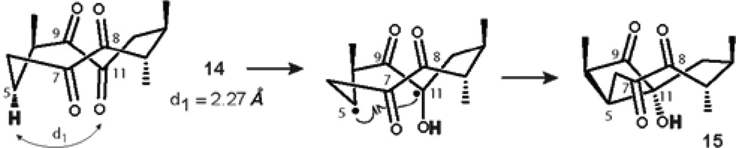 Figure 12