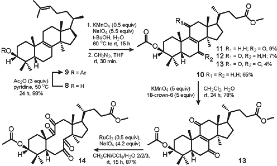 SCHEME 1