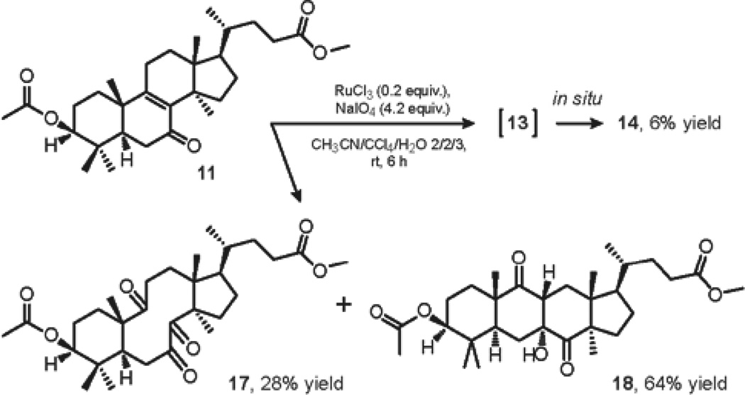 SCHEME 2