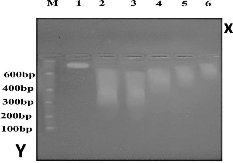 Fig. 12