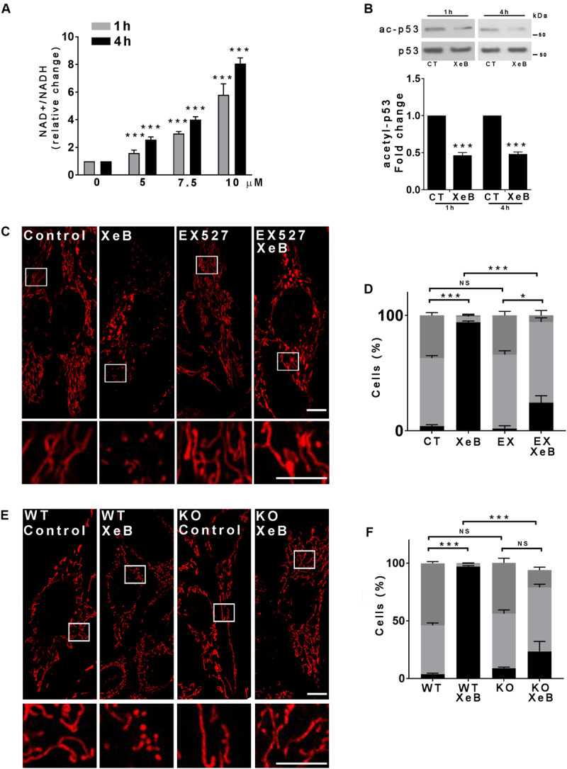 FIGURE 3