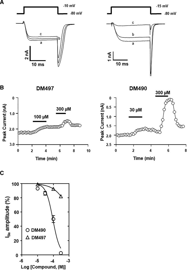 Figure 6.