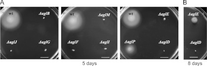 Fig 2