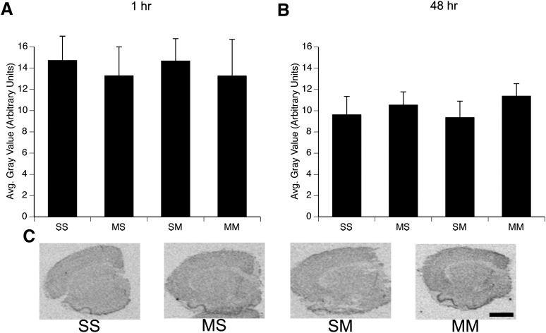 Fig. 5.