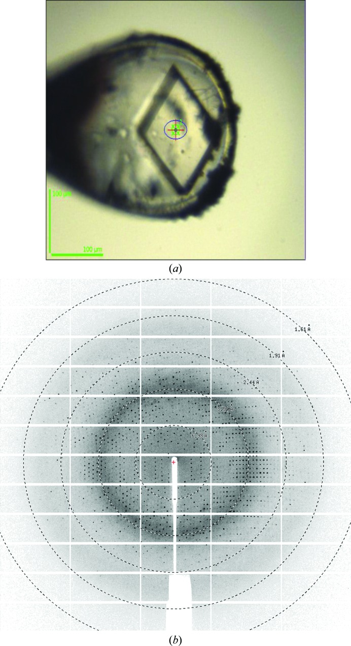 Figure 2