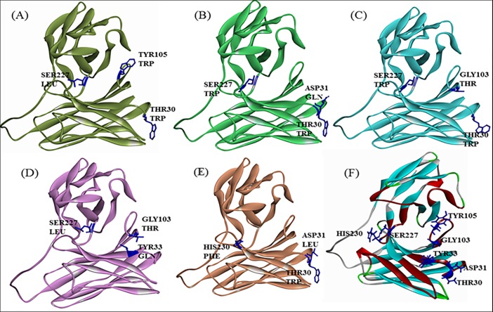 Fig 10