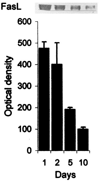 FIG. 9