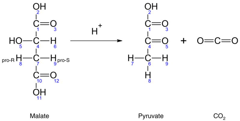 Figure 8