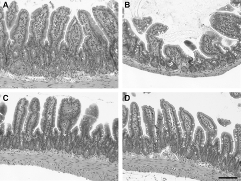 FIG. 1.