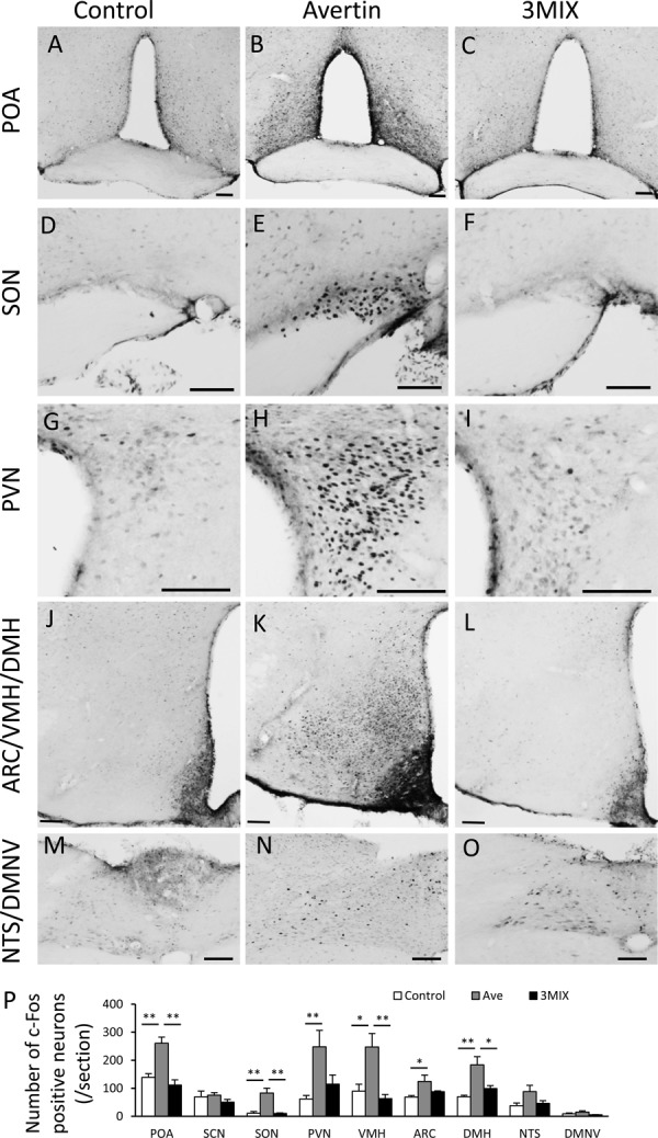 Fig. 6.