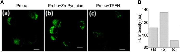 FIGURE 11