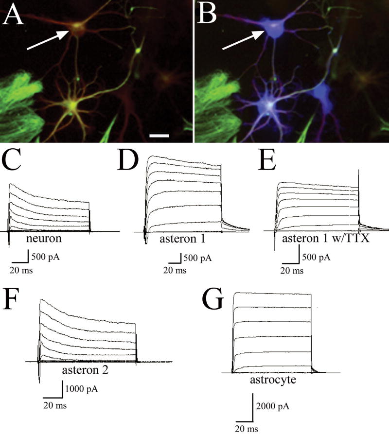 Figure 7