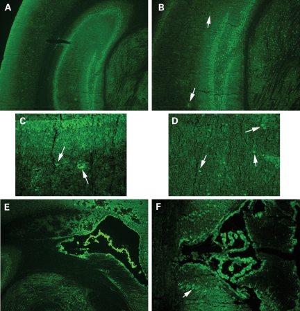 Figure 2.