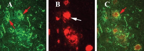 Figure 5.