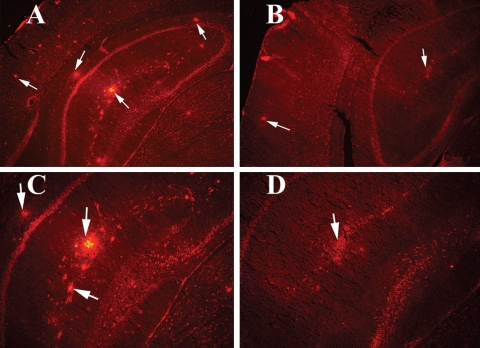 Figure 11.