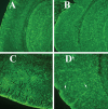 Figure 10.