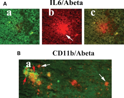 Figure 4.