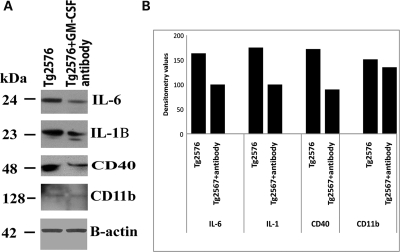 Figure 1.