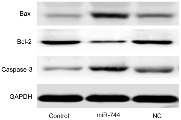 Figure 5.