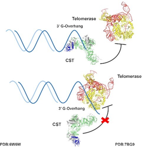 Graphical Abstract