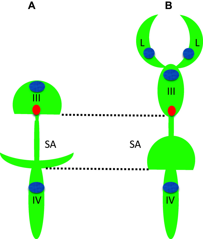 Fig. 2