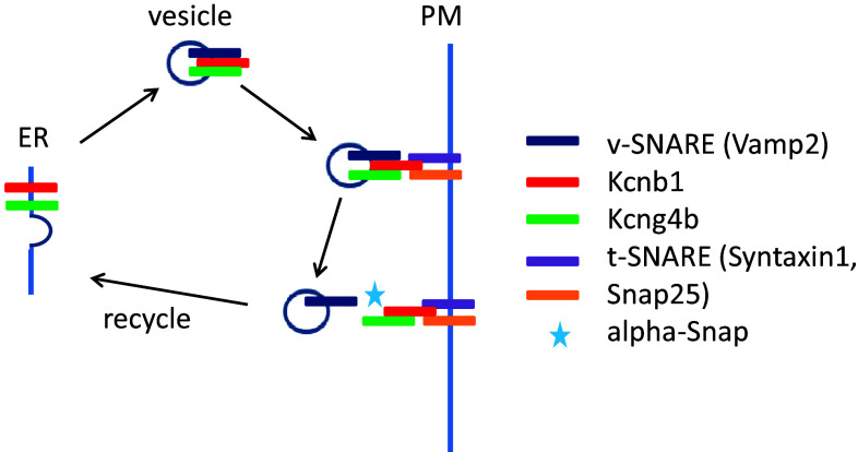 Fig. 3